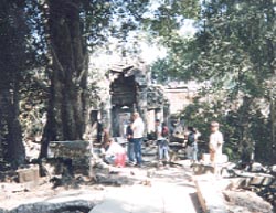 taprohm.jpg (27249 バイト)